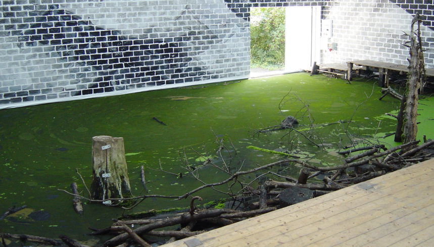 04_cbg_mentekel_2008_72dpi