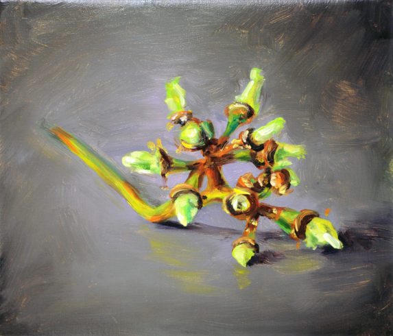 Cornelius Völker, Trauben, 2016, Öl auf Leinwand, 30x35 cm Foto: Christoph Münstermann, Düsseldorf © Cornelius Völker, 2016 VG Bild-Kunst Bonn