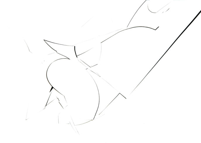 Schnittzeichnung, 1999, Papier, 21 x 30 cm