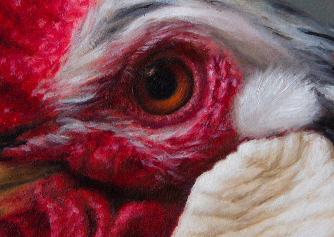 Portrait Rooster (Detail)
