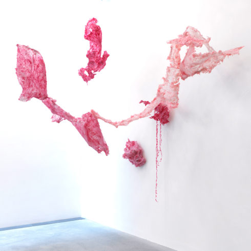 Hadaikum-II, 2019, Silikon, Öl, Polymethylacrylat Größe variabel © und Foto: Aljoscha
