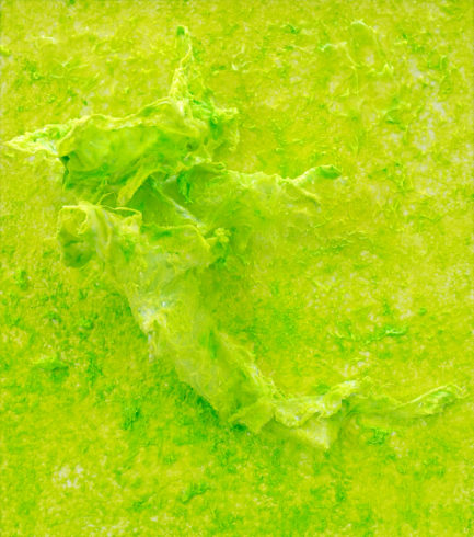 Paradise_Engineering-Green-2
