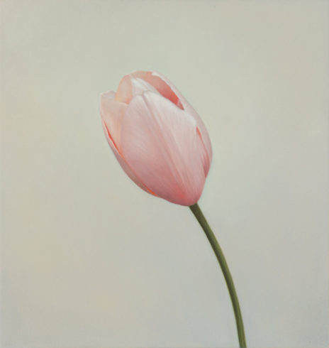 Tulpe IV, 2019, Öl auf MDF, 31 x 30 cm
