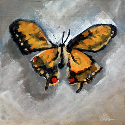 „Schmetterling, orange“, Foto: © Dietmar Stiller