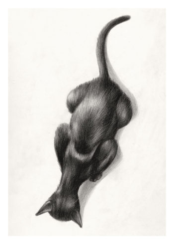 Hafenkatze, aus dem Lesvos-Skizzenbuch 2017, Bleistift und schwarzer Buntstift, 26 x 18 cm, © VG Bild-Kunst, Bonn 2020 / Reinhard Michl, Foto: bildergipfel.de