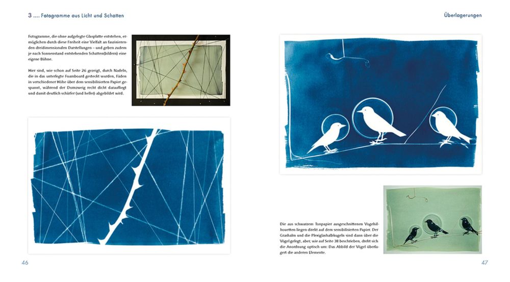 Blaue Wunder - Innenseite
