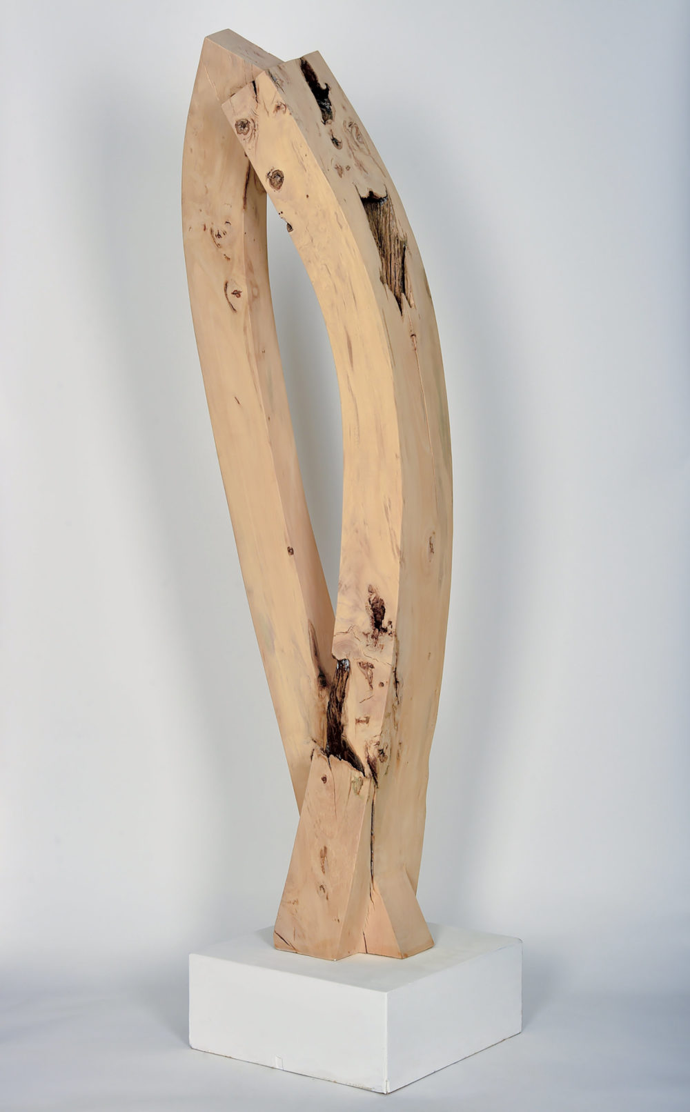 David und Goliath, 2007, Lindenholz, 166 x 43 x 30 cm © Manfred Holtkamp, Foto: Jürgen Theobald