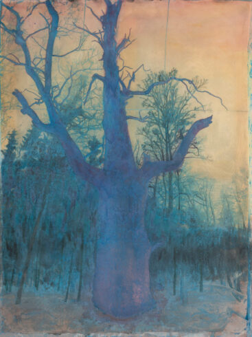 Cosima Hawemann, 2023, ivenack 9, Acryl und Fotoemulsion auf Polyestergewebe, 120 x 90 cm, Foto Nadine Preiß