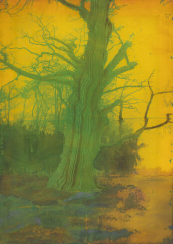 Cosima Hawemann, Ivenack 3, 2023, Acryl und Photoemulsion auf Polyestergewebe, 70 x 50 cm, Foto Nadine Preiß