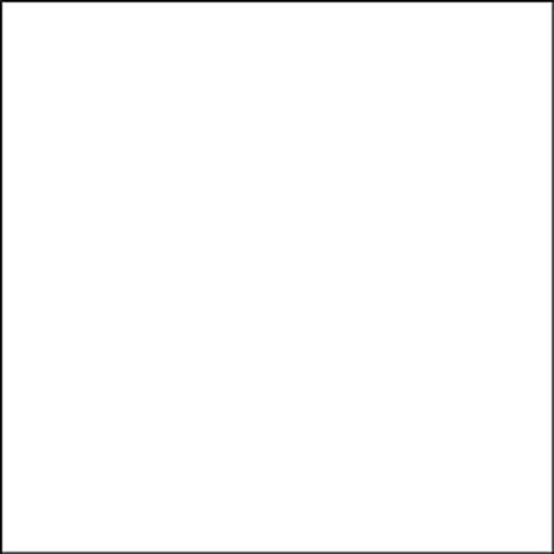 Shock White