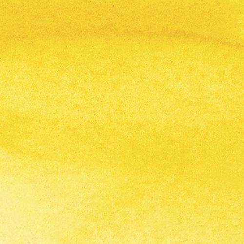 Cadmium Yellow Hue