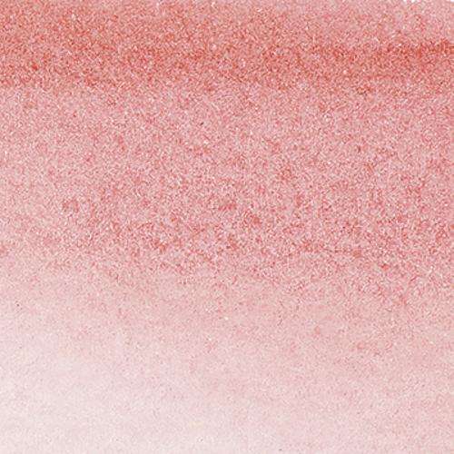Pale Rose