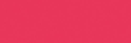 Neon Rot