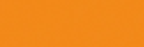 Neon Orange