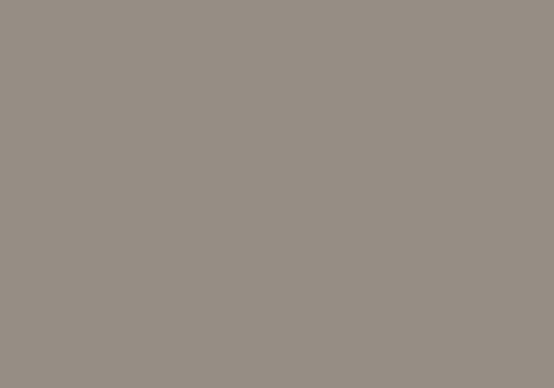 Warm grey V