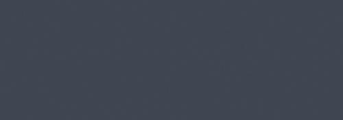 Cool Gray 10