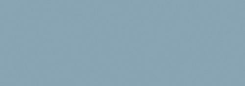 Cool Gray 8