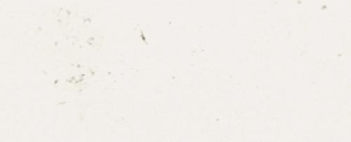 Weiß