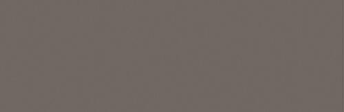 Warm Gray 10