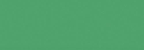 Duck Blue