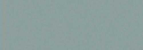 Cool Gray No. 5