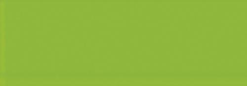 Fluorescent Green