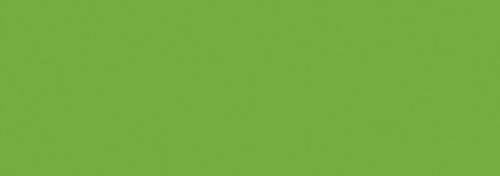 Lettuce Green