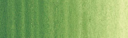 Terre Verte